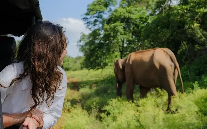 Itinerario Classico Sri Lanka in 7 Giorni